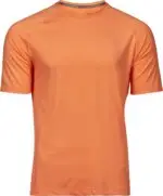 Pánske športové tričko CoolDry – Obrázok 3