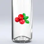 Etiketa na brusnicu re_16 – Obrázok 2