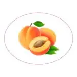 Etiketa na pálenku - marhuľovica