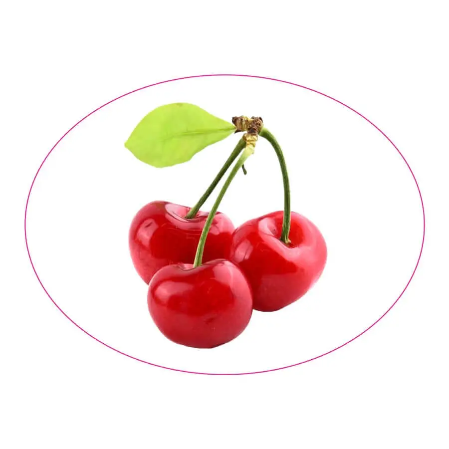 Etiketa na visnovicu re_10 Etiketa na čerešňovicu alebo višňovicu